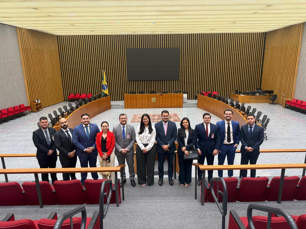 Visita Institucional a Brasília - Plenário